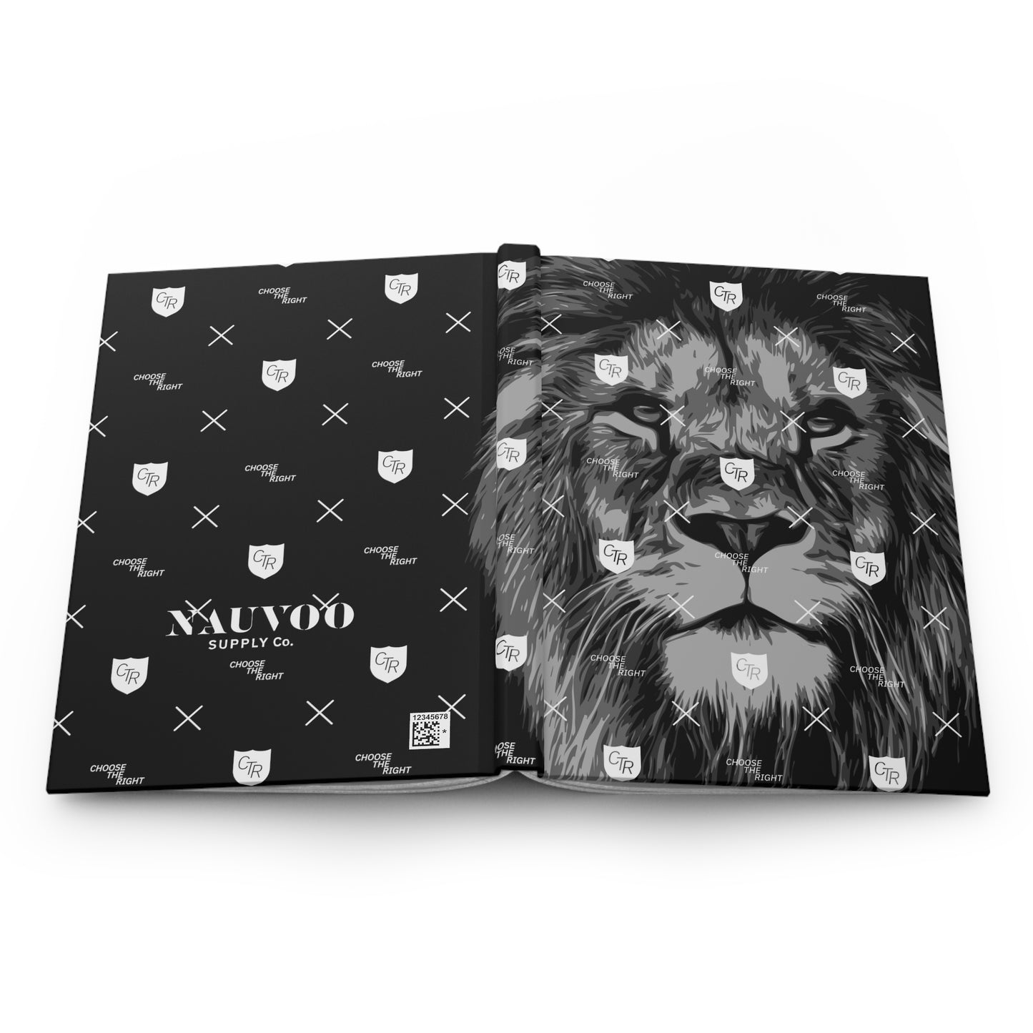 Lion Journal with CTR Details