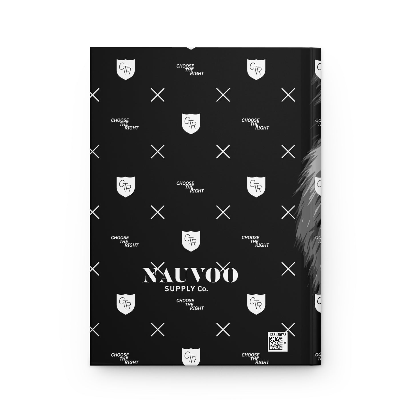 Lion Journal with CTR Details