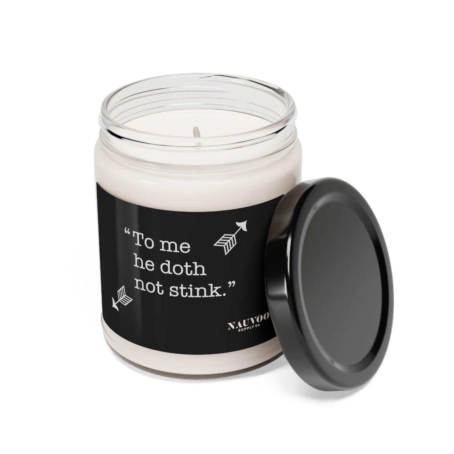 To Me He Doth Not Stink - 9oz Scented Candle