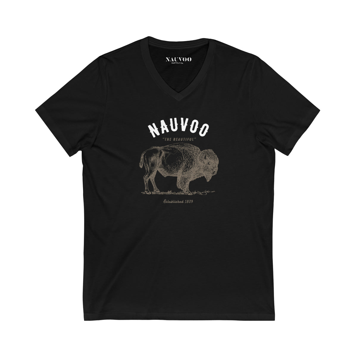 Men’s City of Nauvoo Illinois V-Neck T-shirt