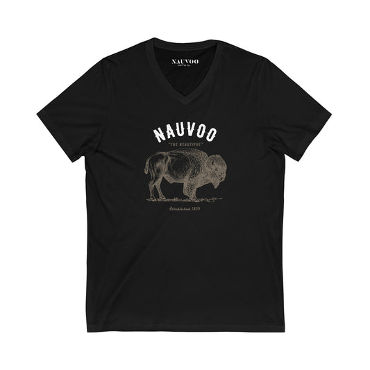 Men’s City of Nauvoo Illinois V-Neck T-shirt