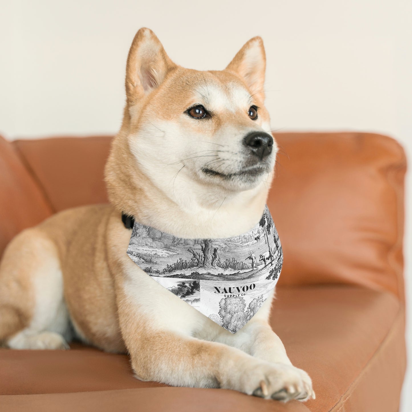 Nauvoo Supply White Pet Bandana Dog Collar