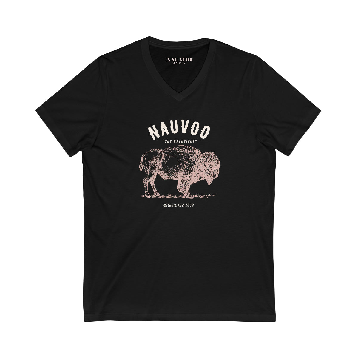 Women's City of Nauvoo, Illinois V-Neck