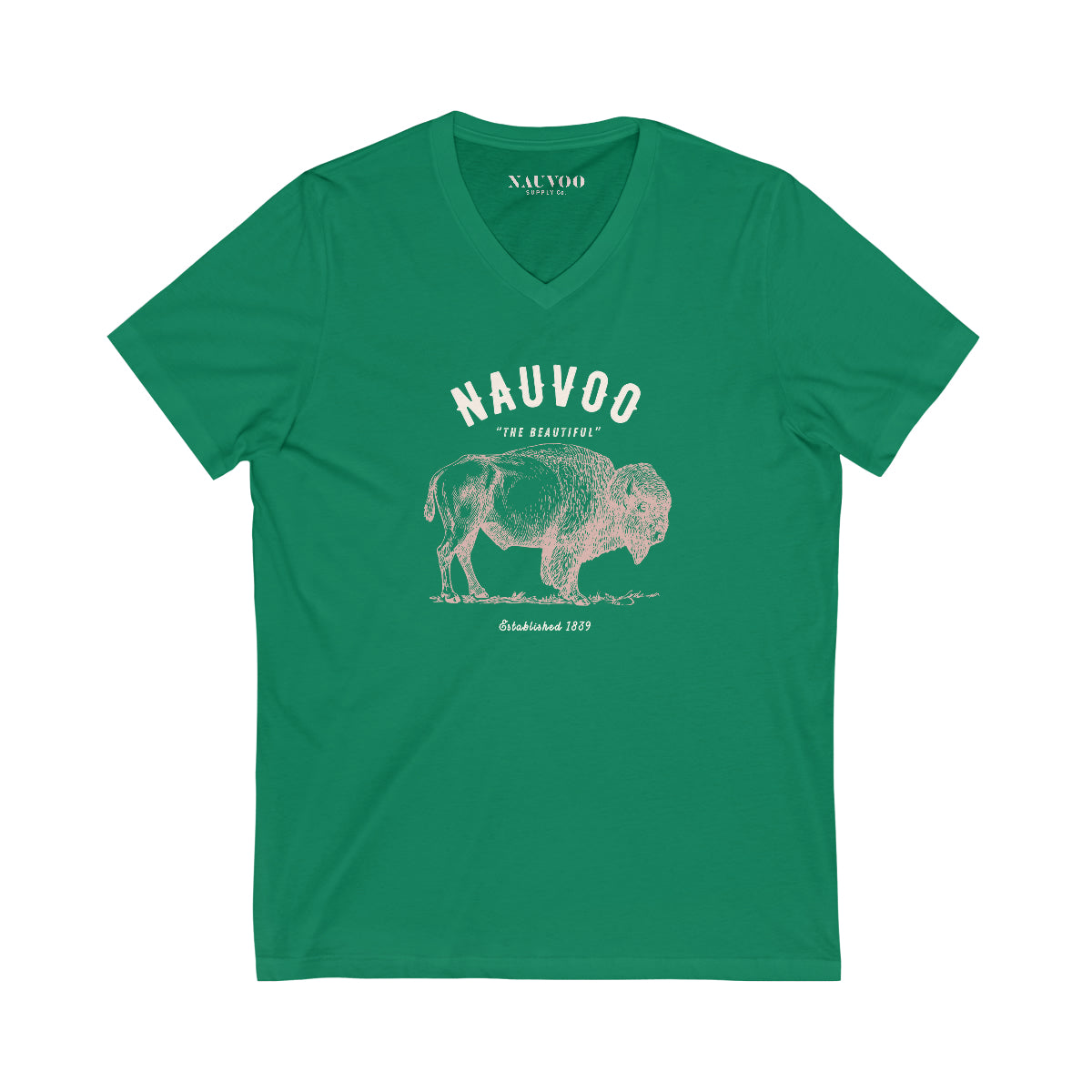 Women's City of Nauvoo, Illinois V-Neck