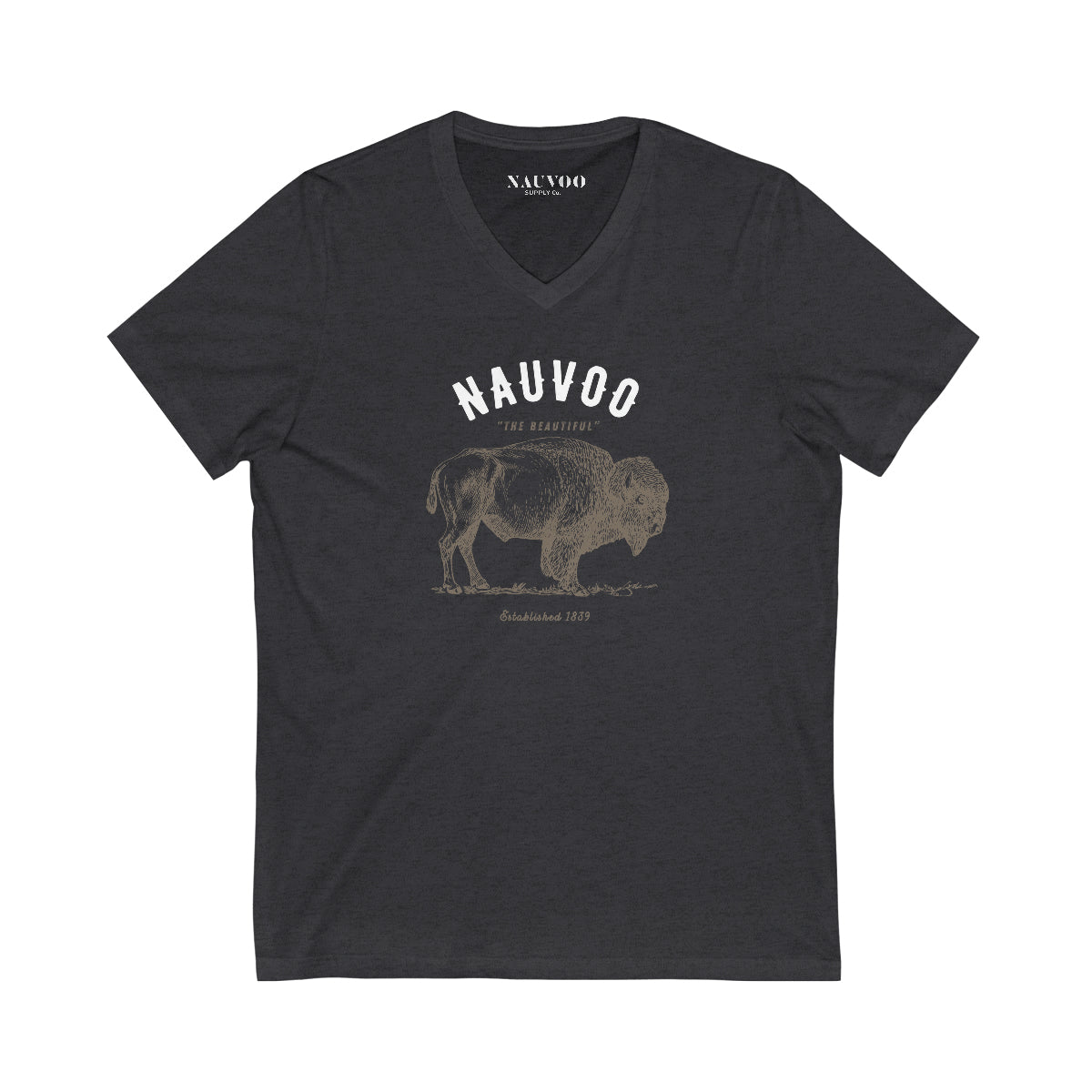Men’s City of Nauvoo Illinois V-Neck T-shirt