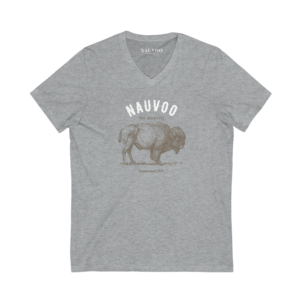 Men’s City of Nauvoo Illinois V-Neck T-shirt