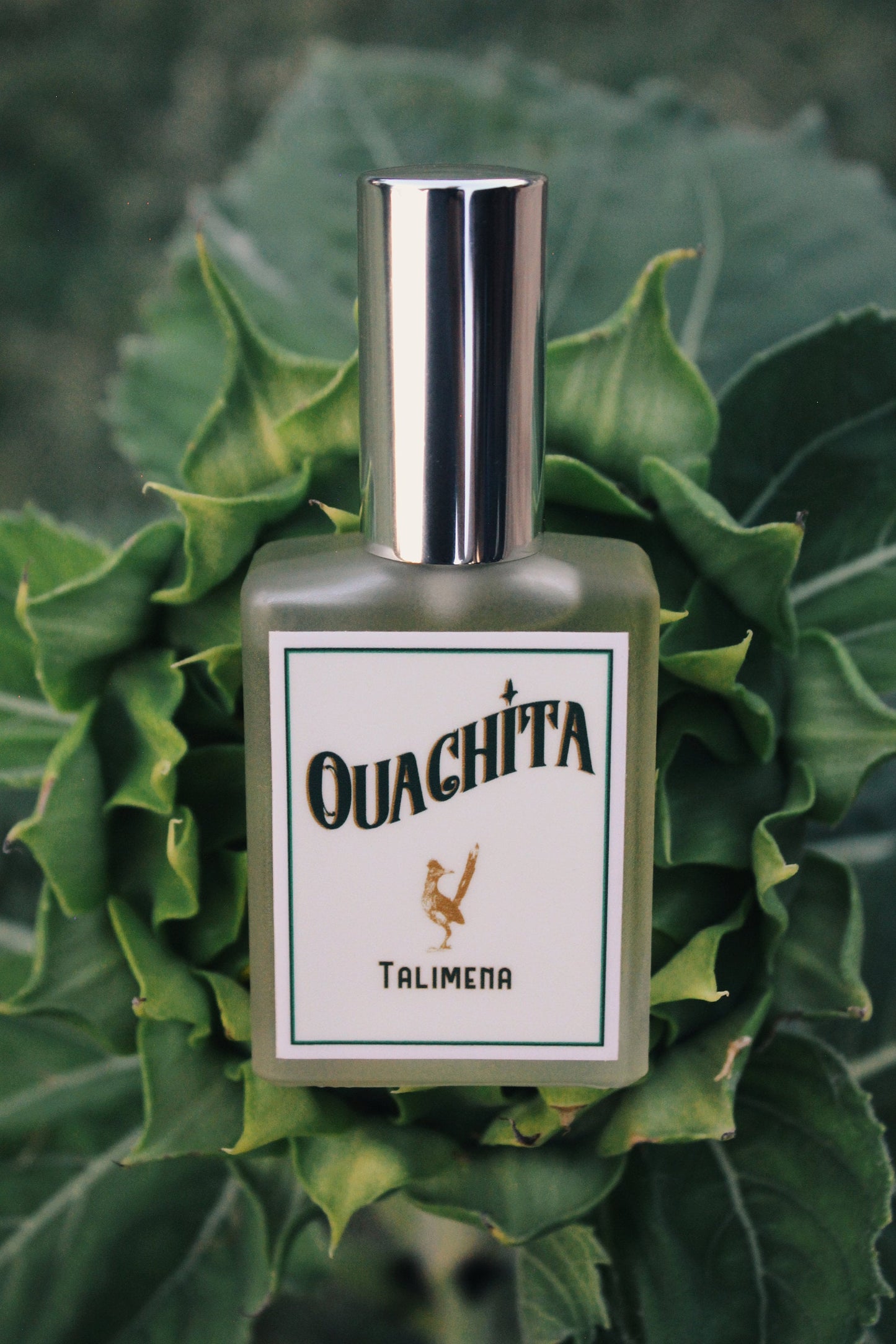 TALIMENA Ouachita Men'S Craft Fragrance Fougère Cologne EDT