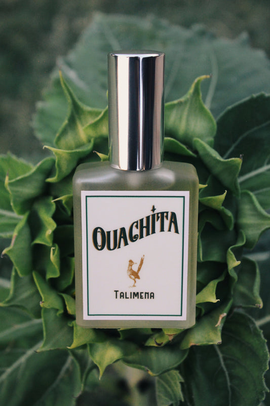 TALIMENA Ouachita Men'S Craft Fragrance Fougère Cologne EDT