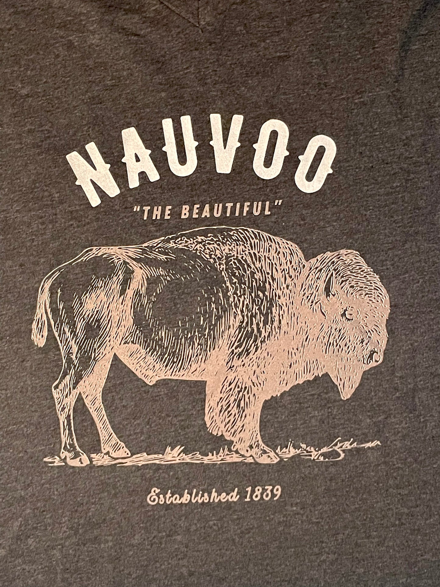 Men’s City of Nauvoo Illinois V-Neck T-shirt