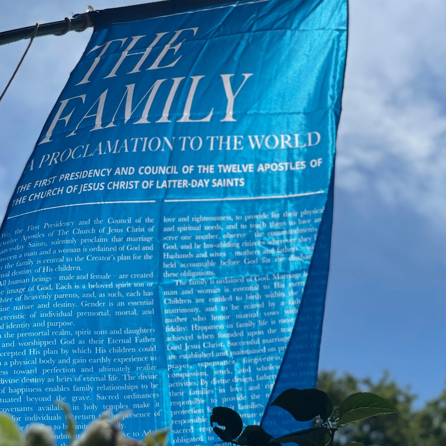 The Family Proclamation Flag: A Proclamation To The World