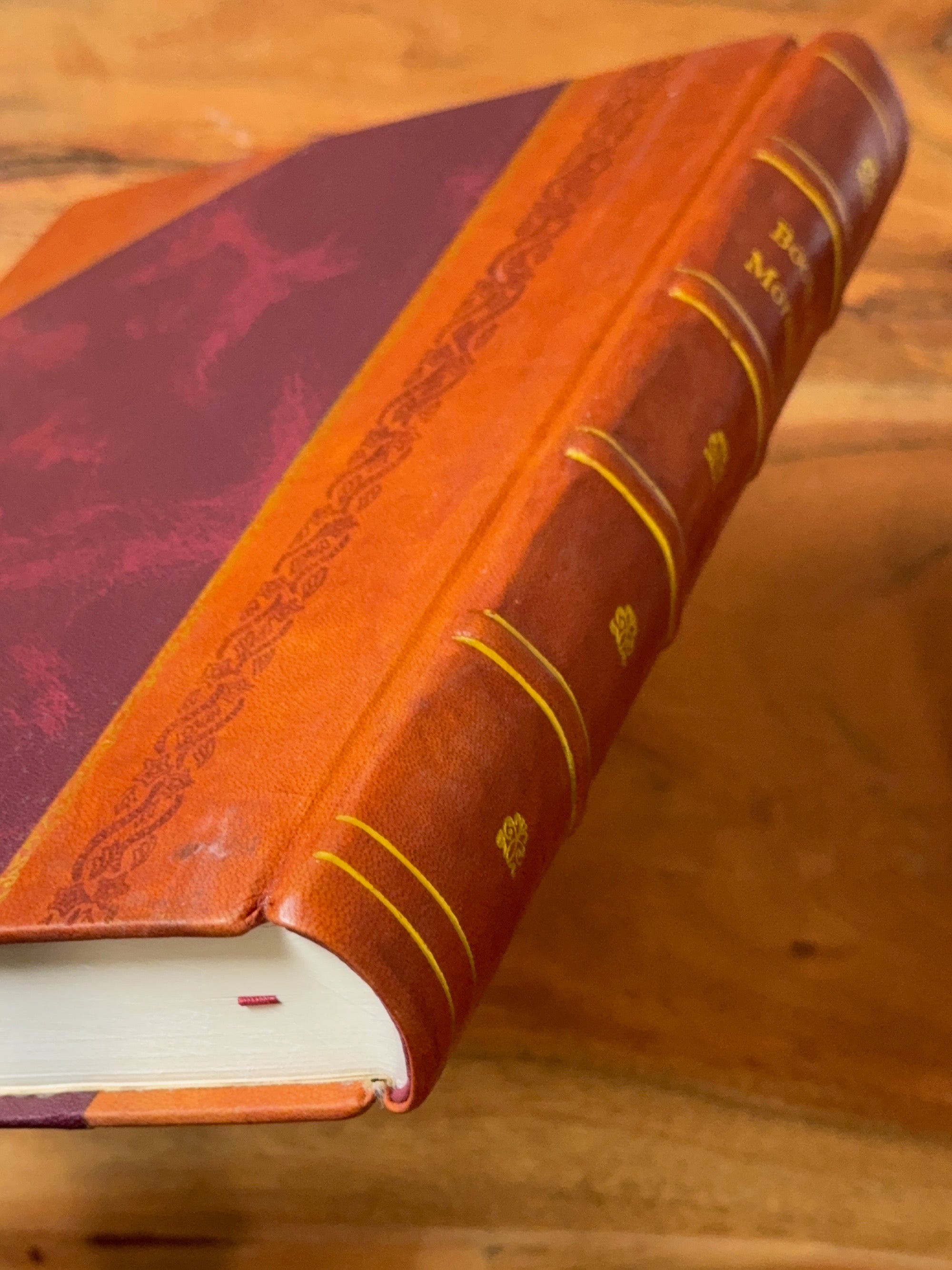 洋書 BROM OFFERINGS 1869 Deseret Alphabet Book of Mormon Leather-Bound Replica