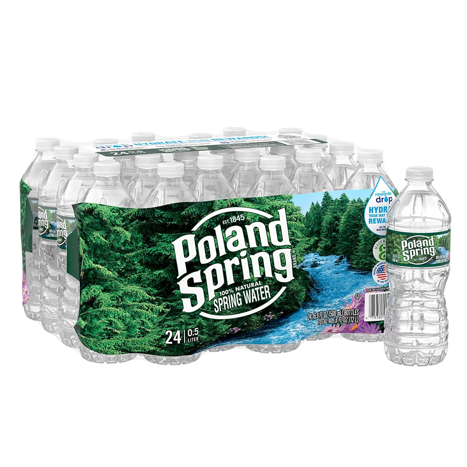 Poland Spring Brand 100% Natural Spring Water, 16.9 Oz Plastic Bottles (Pack of 24)
