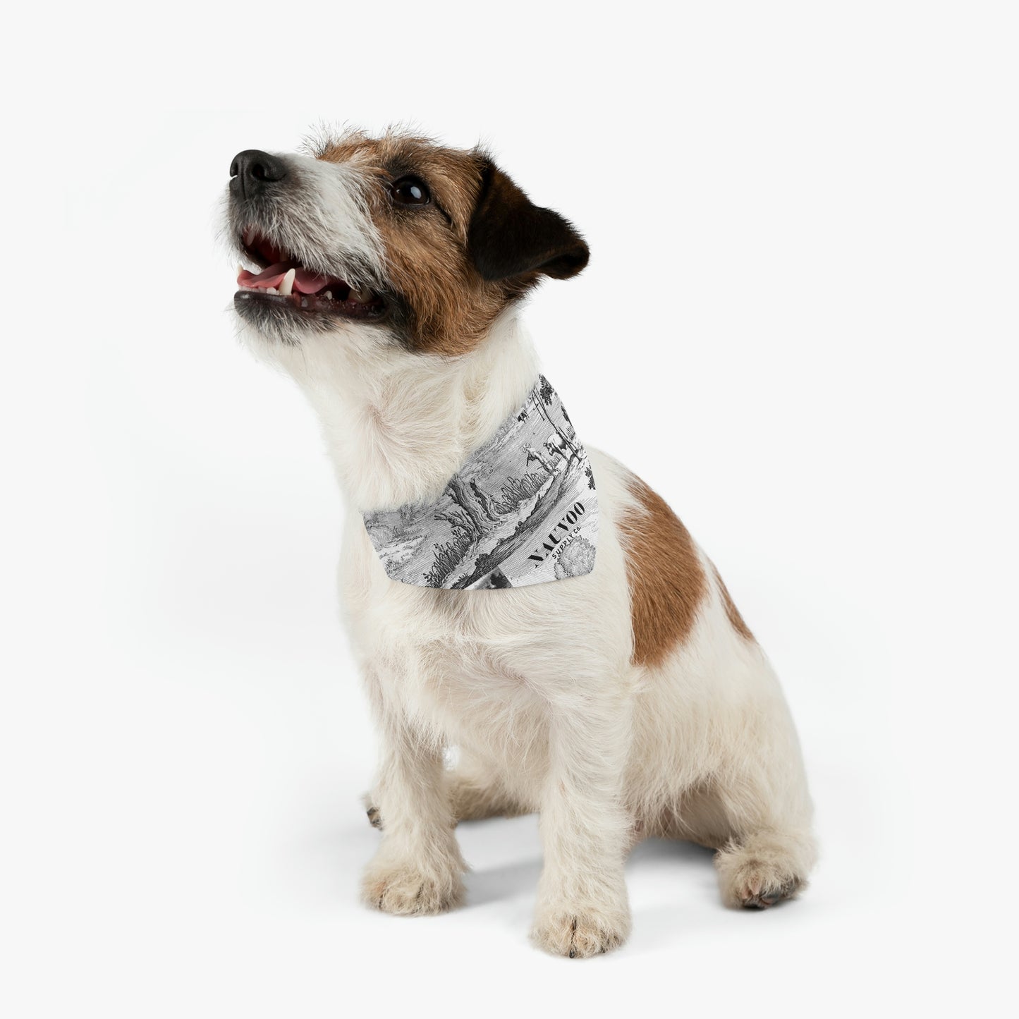 Nauvoo Supply White Pet Bandana Dog Collar