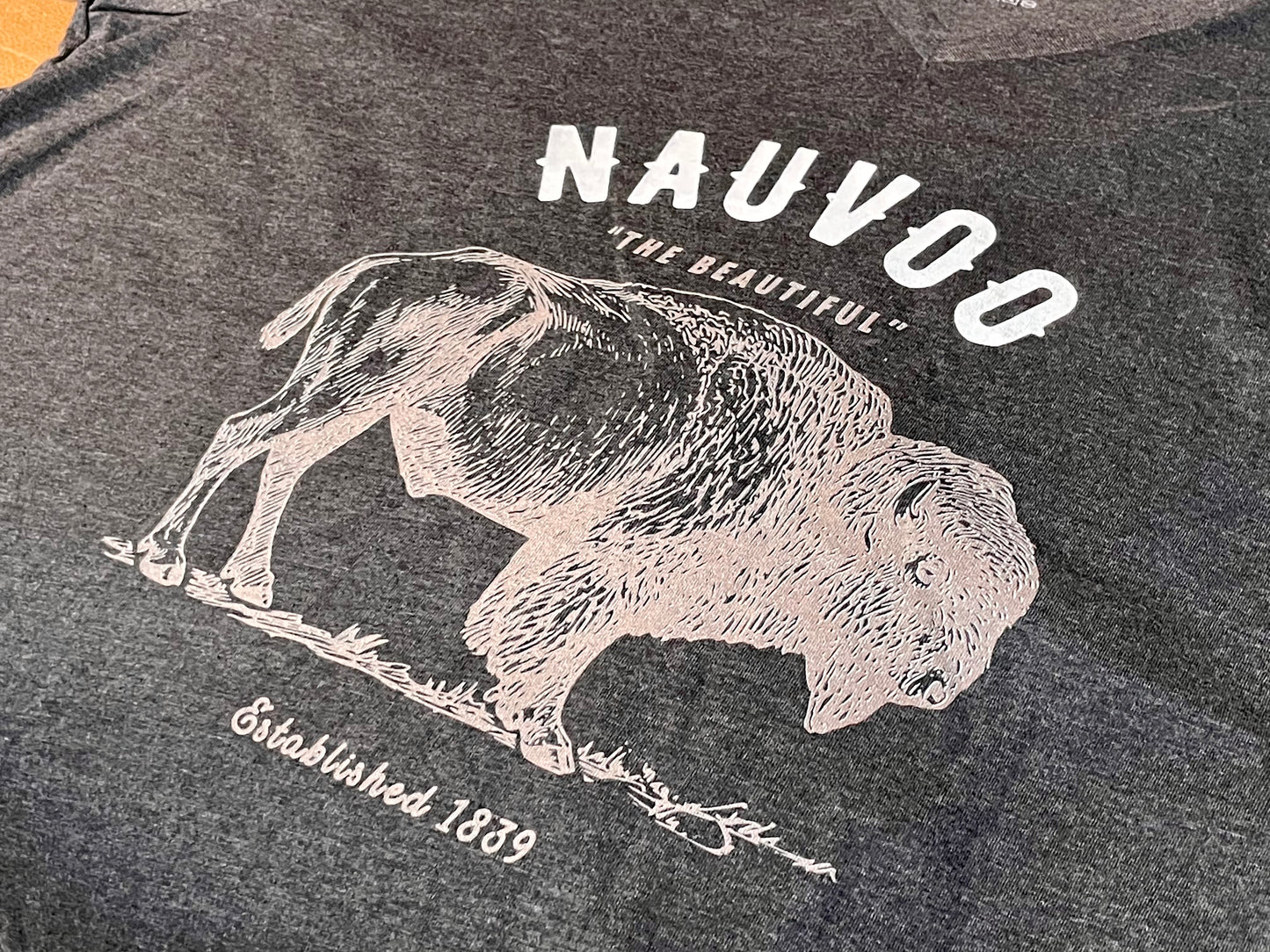 Men’s City of Nauvoo Illinois V-Neck T-shirt